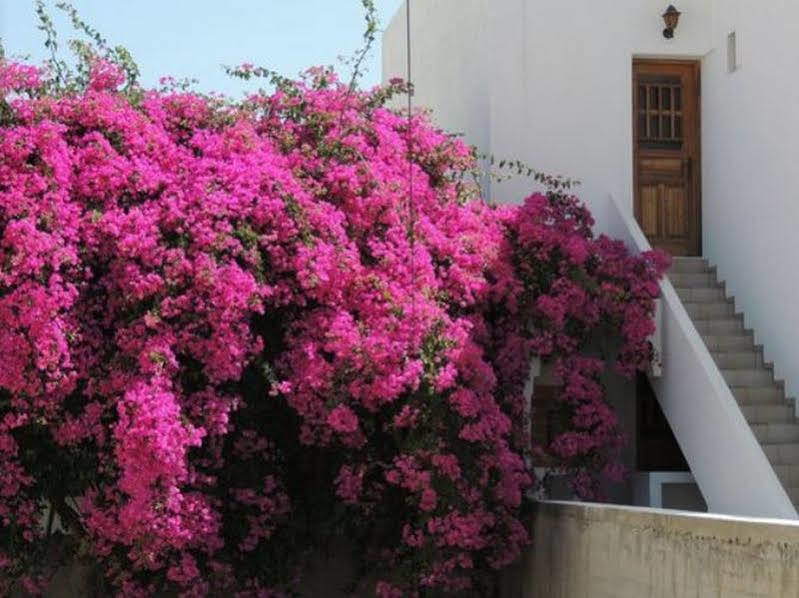 Hotel Armonia Kamári